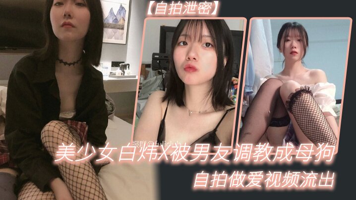 国产chinese男男gaygay网站_迅雷vip日韩成人在线
